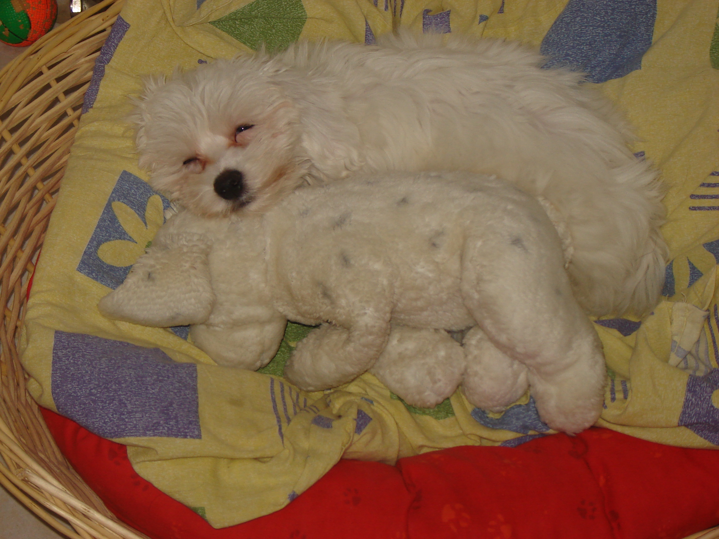 DSC06700.JPG