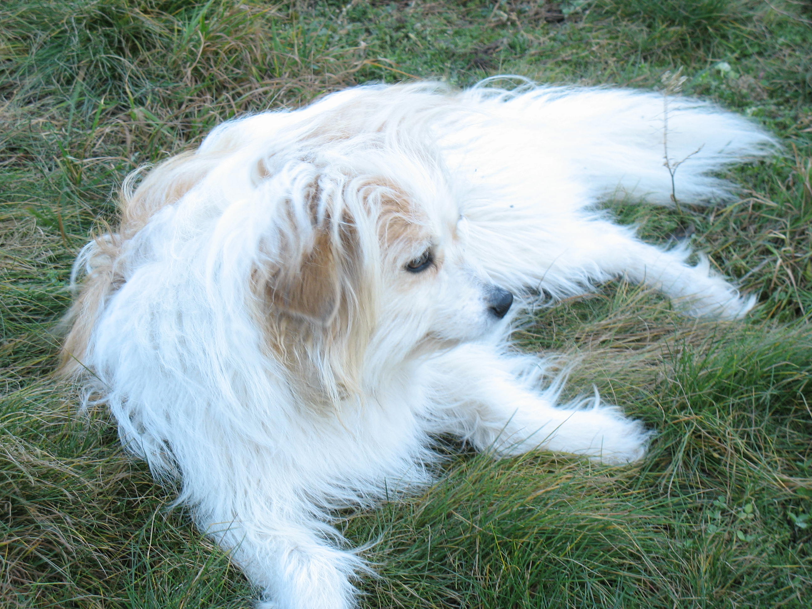 Rituška 036.jpg