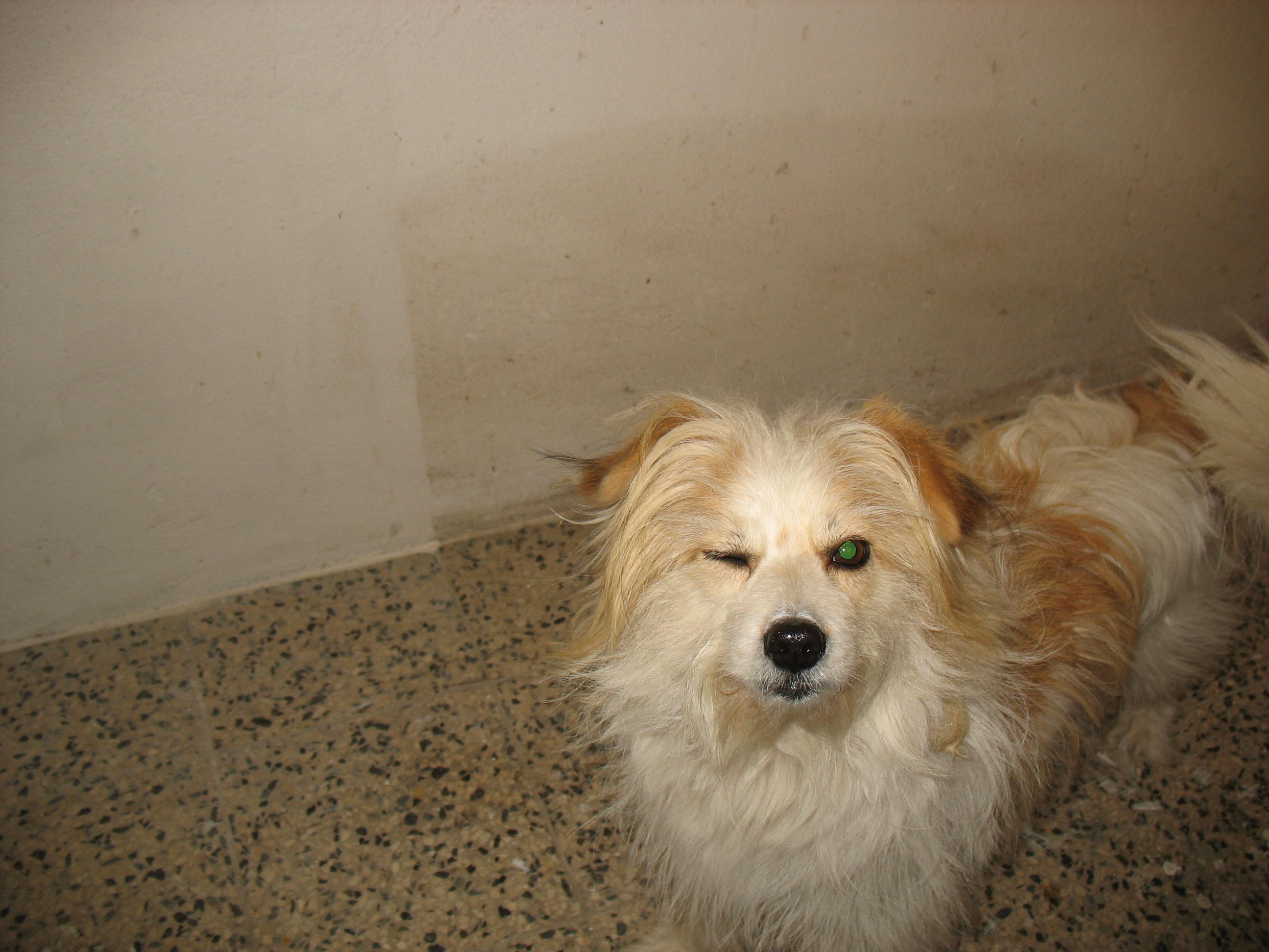 Rituška 053.jpg