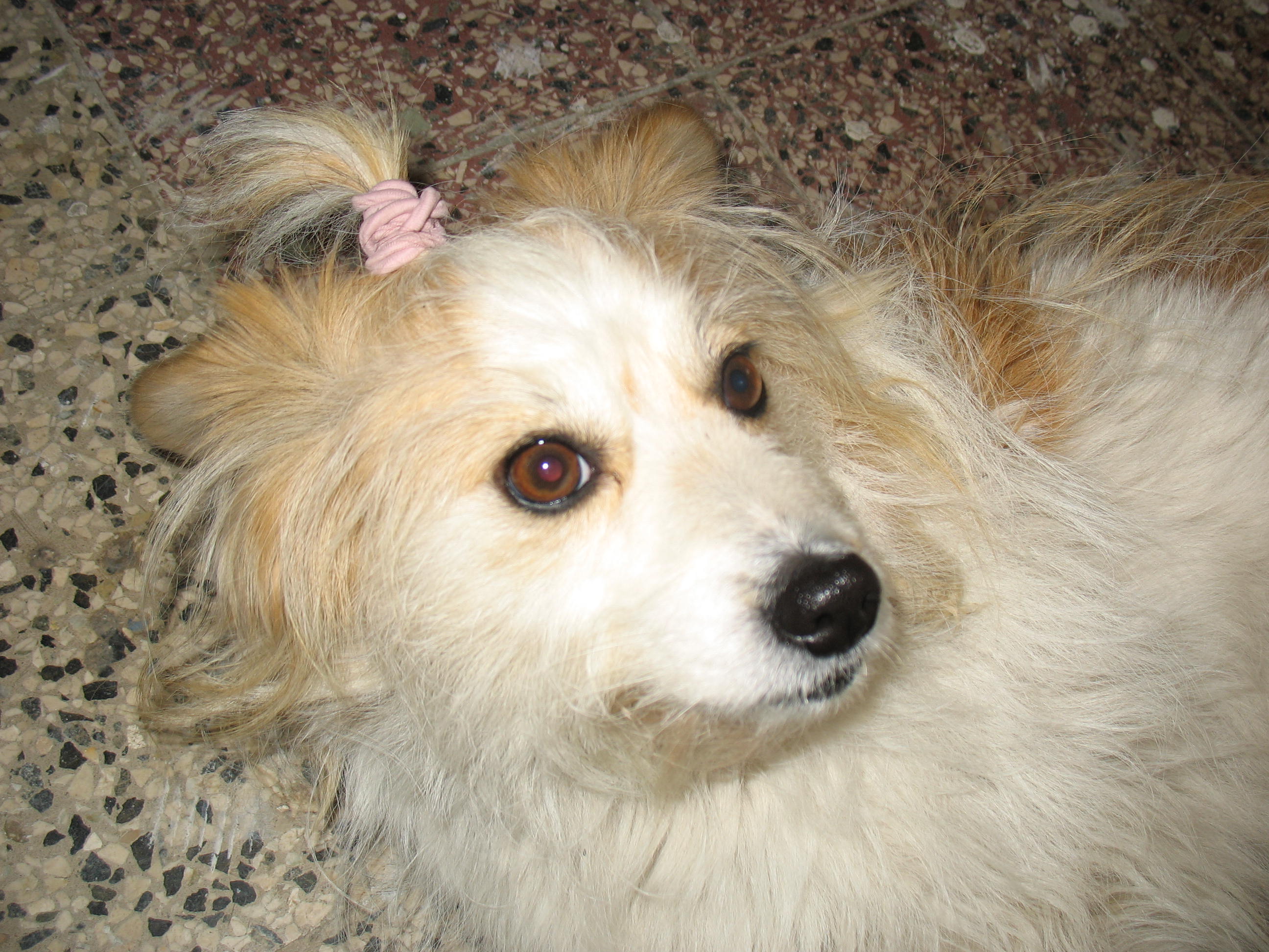 Rituška 060.jpg