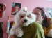 P1010013.JPG
