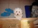 DSC06690.JPG