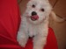 DSC06691.JPG