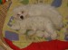 DSC06700.JPG
