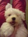 090213_204920.jpg