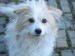 Rituška 028.jpg
