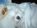 090213_210209.jpg
